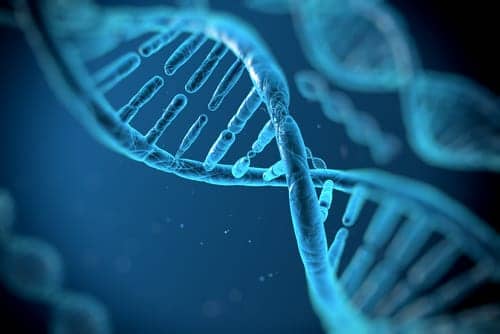 FDA OKs Phase 2 Study of Antria's Stem Cell Technology in Plastic Surgery