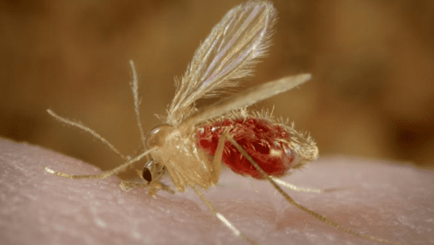 Got a Weird Skin Rash? Maybe Facebook Can Help