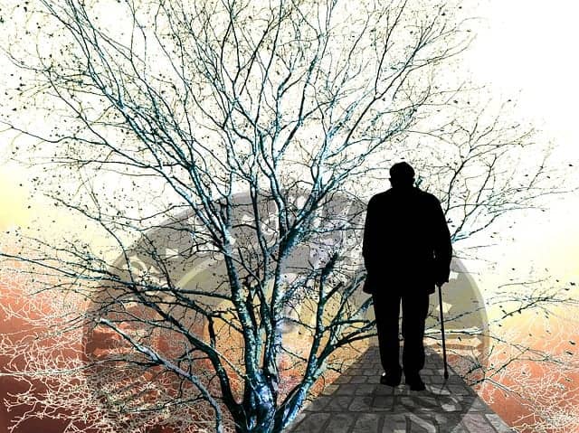 Scientists Have Figured Out Another Way To Slow Down Aging