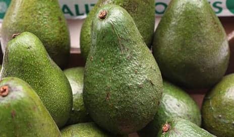 Plastic Surgeon Suggests Warning Labels After Rise in ‘Avocado Hand’