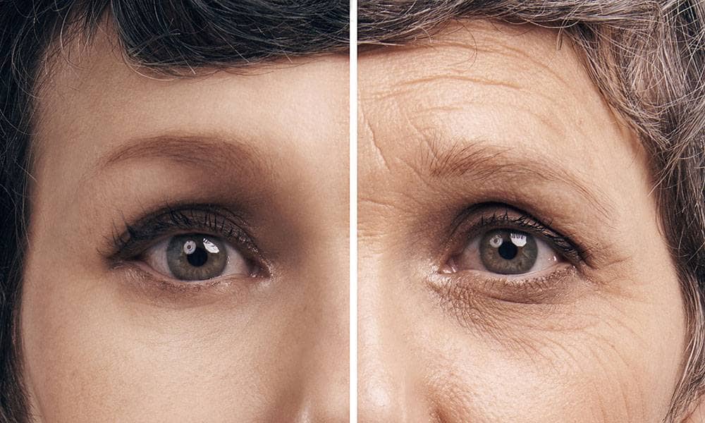Aging Tests Yield Varying Results