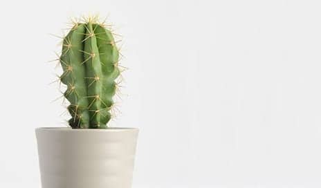 What Is Dermarolling and Does it Hurt?