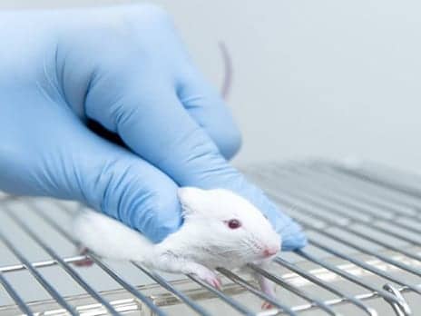 Could Botox Cousin Combat the Opioid Epidemic?