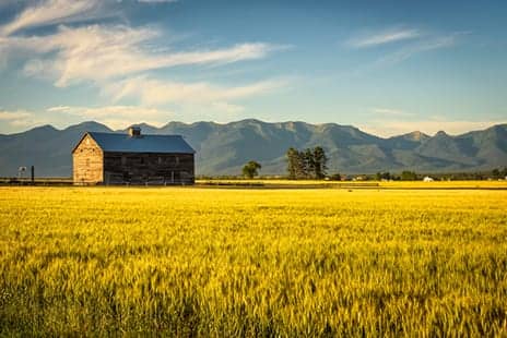 Even with More U.S. Dermatologists, Rural Patients May Lack Access