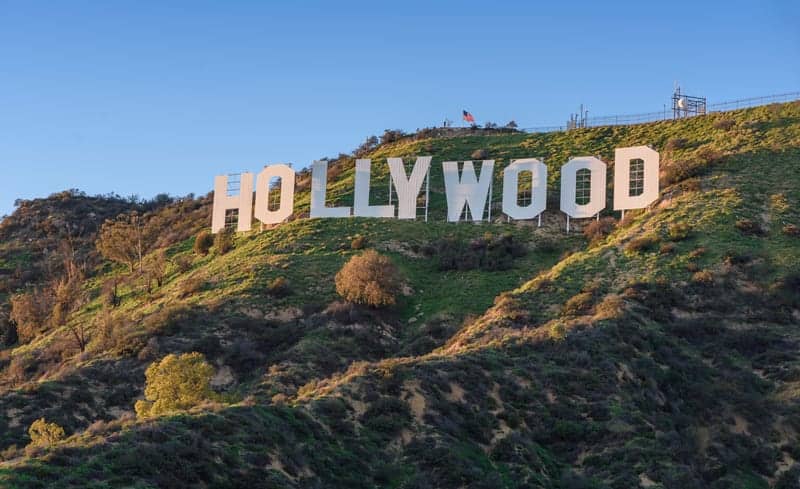 Celebrities Clamoring For Plastic Surgery During Coronavirus So They Can Recover In Hiding, Noted Surgeon Says