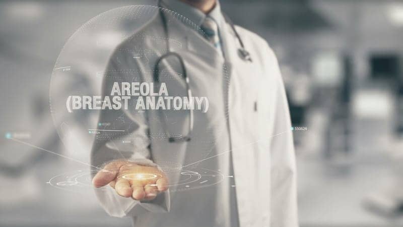 6 Things You’ve Always Wondered About Areolas but Didn’t Want to Ask