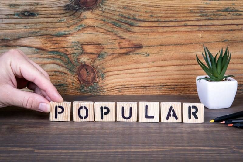 Why Is Sandra Lee ‘Dr. Pimple Popper’ So Popular?