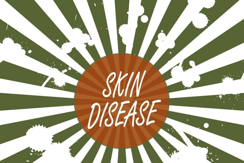 Whole-Body Exams Reveal Skin Diseases Common in Older Patients