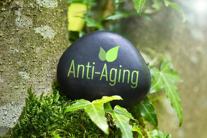 Researchers Solve Anti-aging Mystery – Identify Gene Responsible for Cellular Aging