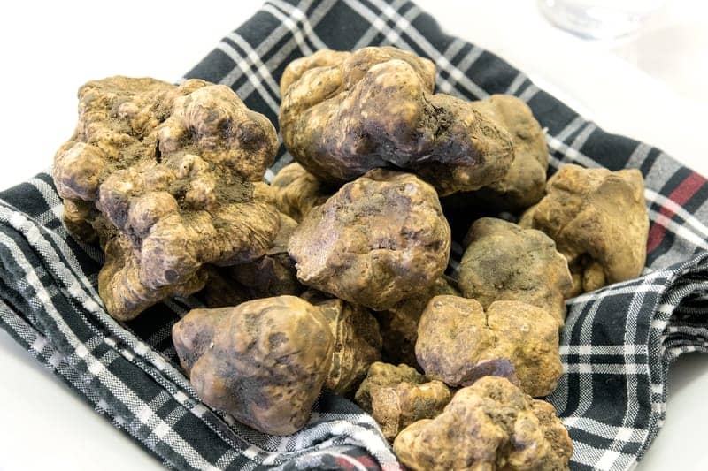 Everything You Need to Know About White Truffle, the Buzzy New Anti-Aging Ingredient