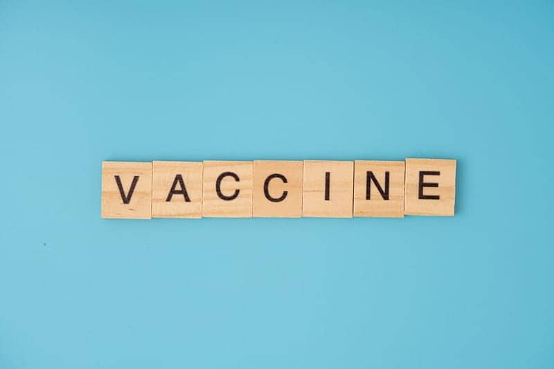 The COVID-19 Vaccine and Breast Implants: Do They Affect One Another?
