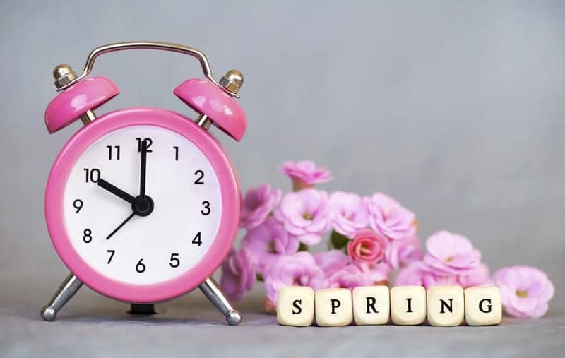 Spring Ahead With Plastic Surgery To Rejuvenate Your Look For Spring